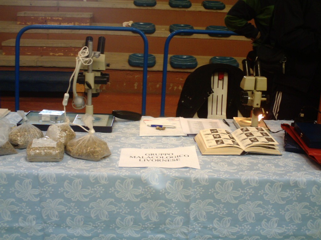 un salto a Collesalvetti ...